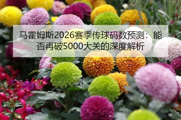 ma-huo-mu-si-sai-ji-chuan-qiu-ma-shu-yu-ce-neng-fou-zai-po-da-guan-de-shen-du-jie-xi-2-406.jpg